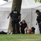 Gunfire Erupts at Bite of Seattle: Two Killed, Toddler Among the Wounded 5 Gunfire Erupts at Bite of Seattle