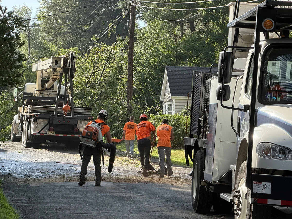four-twisters-and-a-near-miss-what-the-weather-service-found-in-new-jerseys-storm-debris