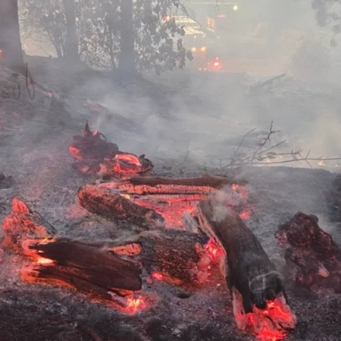 Dove Fire Erupts Near Sonora, Forcing Evacuations in a Yosemite Gateway Town