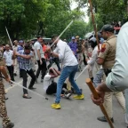 India's Cockroach Movement Refuses to Disperse