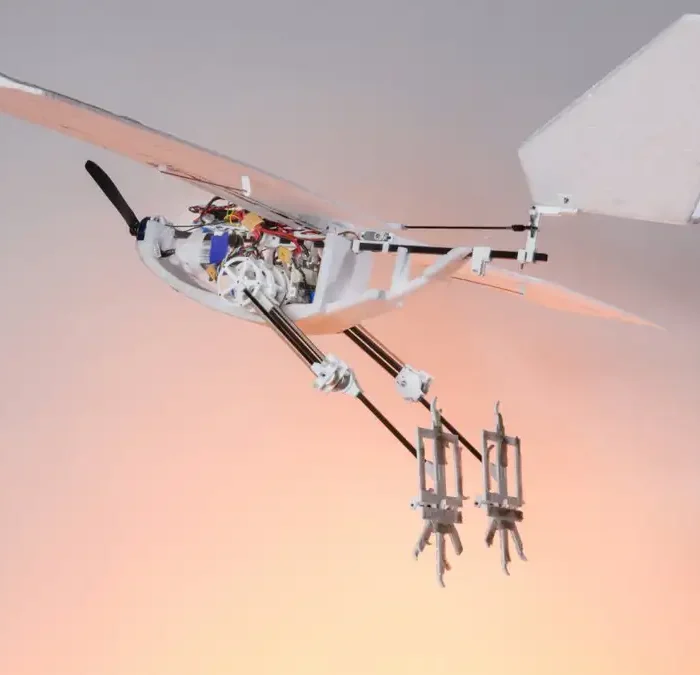 The Robot Bird That Doesn’t Need Feet: How MIT Cracked the Water-to-Air Leap