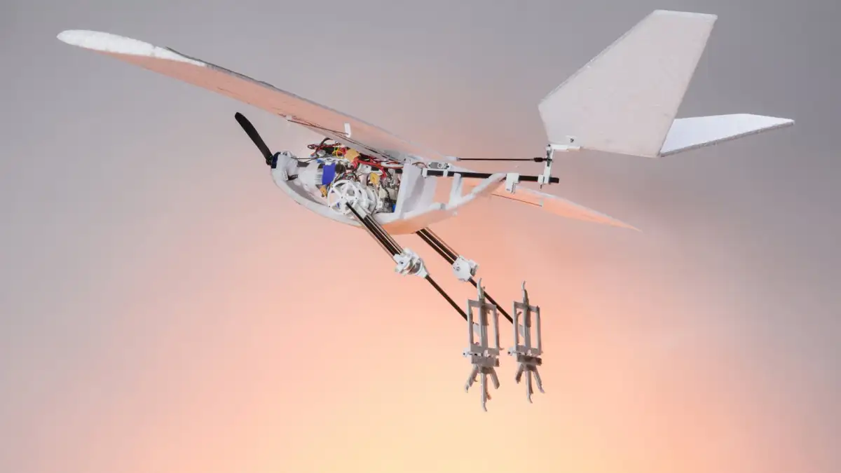 the-robot-bird-that-doesnt-need-feet-how-mit-cracked-the-water-to-air-leap