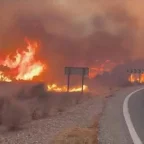 Deadly Almería Wildfire Kills 11