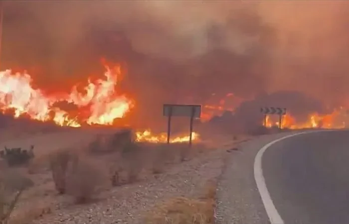 Deadly Almería Wildfire Kills 11 as Spain Mobilizes Massive Emergency Response