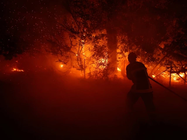Woken by Alerts, Fleeing Past Six-Storey Flames: Tourists Recount France Wildfire Escapes