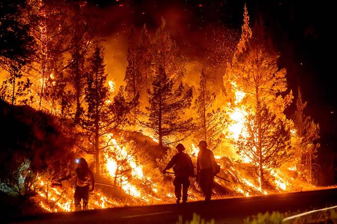 Measured in Homes, Not Acres: How the Bench Fire Is Reshaping Life at Warm Springs
