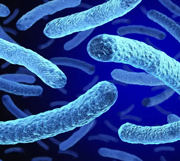 Upper East Side Legionnaires’ Cluster Claims Third Life as Case Count Reaches 74