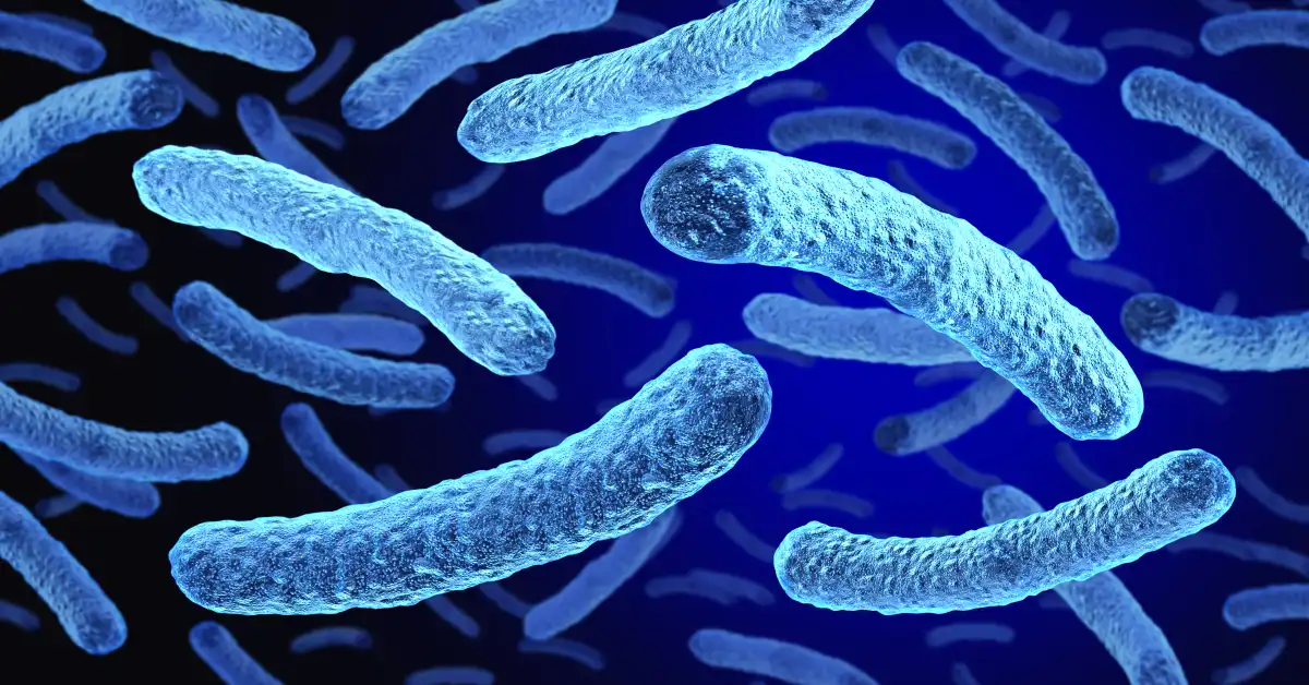 upper-east-side-legionnaires-cluster-claims-third-life-as-case-count-reaches-74