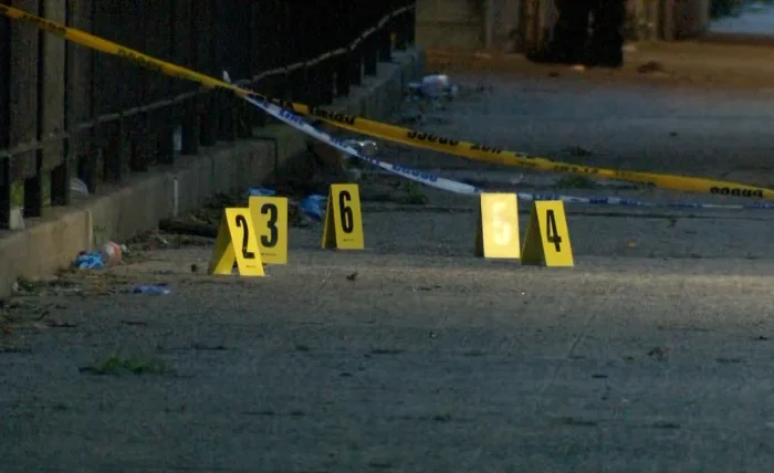 Coney Island Shooting: Gunman Opens Fire at Fourth of July Cookout, Wounding Eight Including Four Children