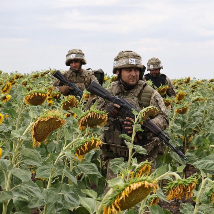 A Sunflower Field, a Military Base and an Airport: Europe’s Drone Problem Widens
