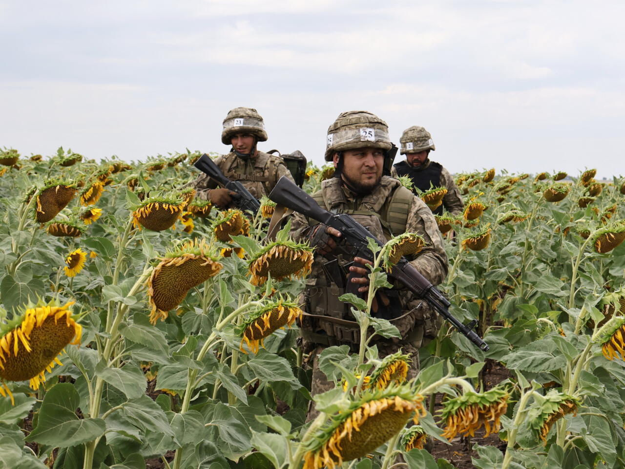 a-sunflower-field-a-military-base-and-an-airport-europes-drone-problem-widens