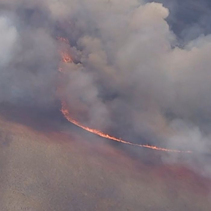 Ridge Fire Shuts Down the 5 Freeway in Gorman, Stranding Drivers for Hours