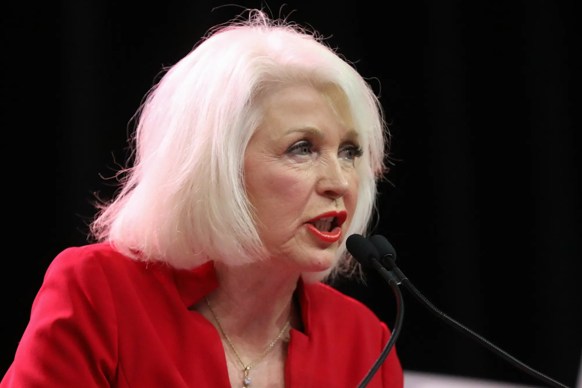 tina-peters-hired-in-shasta-county-californias-election-denial-hotbed-brings-in-a-convicted-ex-clerk