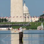 The Reflecting Pool Case That Refuses to Die: New Charges Weighed After Felony Collapse 6 The Reflecting Pool Case