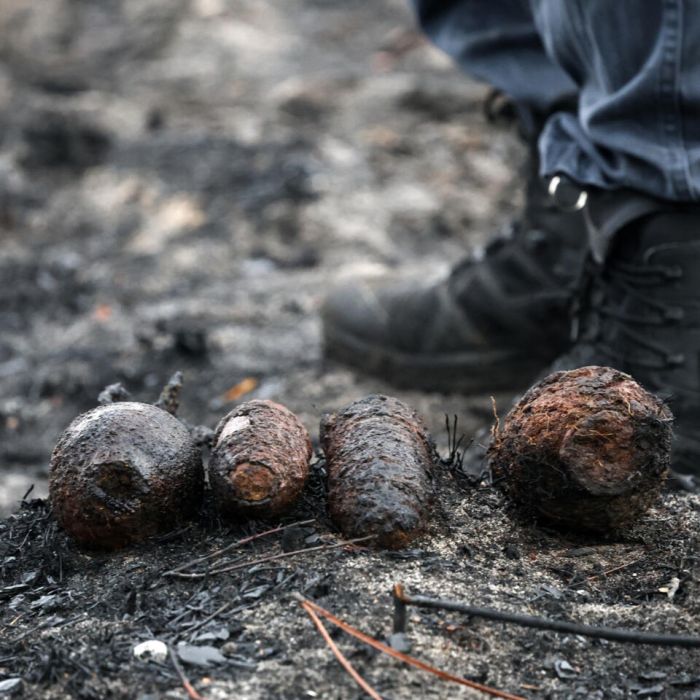 Wildfires Unearth 400 Wartime Shells in French Village as Europe’s Heat Crisis Deepens