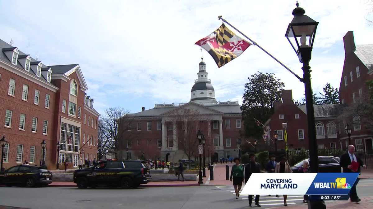 judge-halts-maryland-redistricting-amendment-setting-up-a-supreme-court-showdown