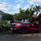 Schools and Offices Reopen After Hurricane Lala