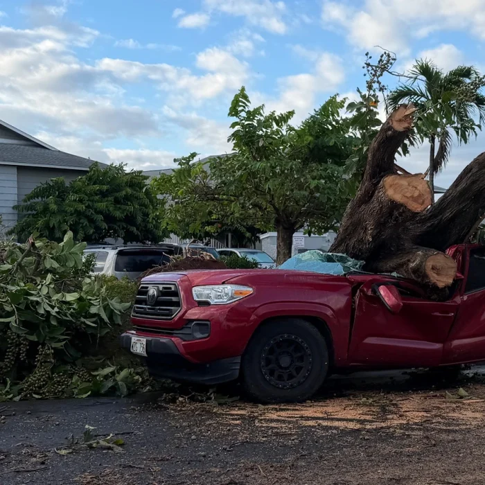 Hawaii Returns to Routine: Schools and Offices Reopen After Hurricane Lala