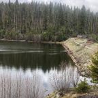 45 Million Acres in Play: Washington Moves to Scrap the Roadless Rule 9 Washington Moves to Scrap the Roadless Rule