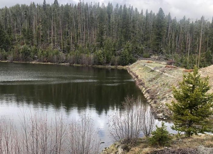 45 Million Acres in Play: Washington Moves to Scrap the Roadless Rule