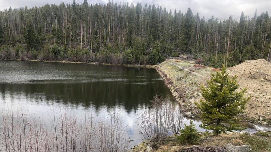 45-million-acres-in-play-washington-moves-to-scrap-the-roadless-rule