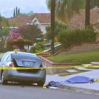 Kidnapping in Chino Hills