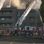 A Barbecue on a Patio: Arrest Made in the Foster City Fire That Displaced More Than 50 Families 6 Arrest Made in the Foster City Fire