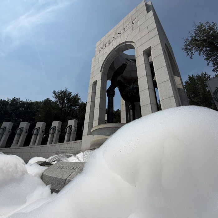 Kentucky Woman Charged Over Paint and Soap Attack on the WWII Memorial in Washington