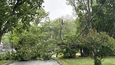 severe-storms-batter-massachusetts-flooded-streets-fallen-trees-and-one-life-lost