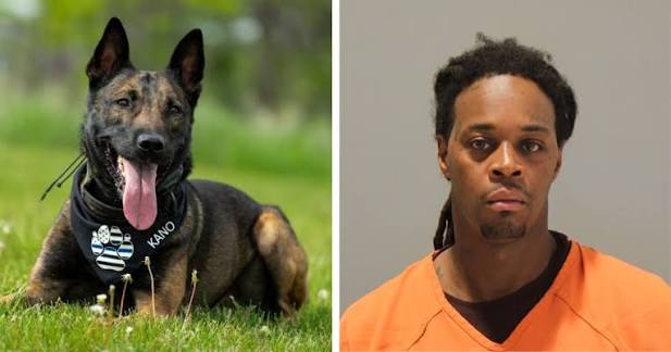 Six-Hour Omaha Standoff Ends With Arrest After Police K-9 Found Unresponsive Inside Home
