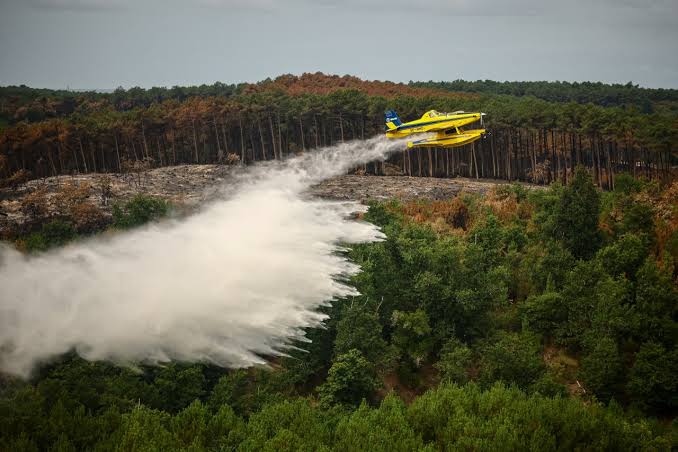 Watering Cans Against a Firestorm: Volunteers Join France’s Fight to Contain Smouldering Forests