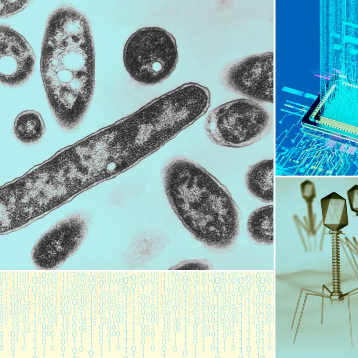 AI Just Designed Working Viruses for the First Time. Here’s What That Does and Doesn’t Mean.