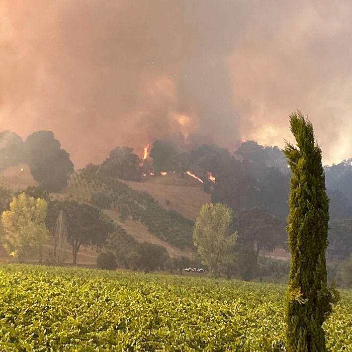 Feliz Fire Grows to 841 Acres Near Hopland as Highway 101 Reopens