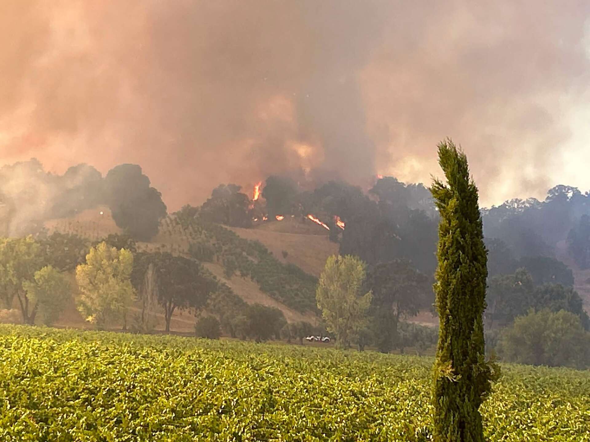 feliz-fire-grows-to-841-acres-near-hopland-as-highway-101-reopens