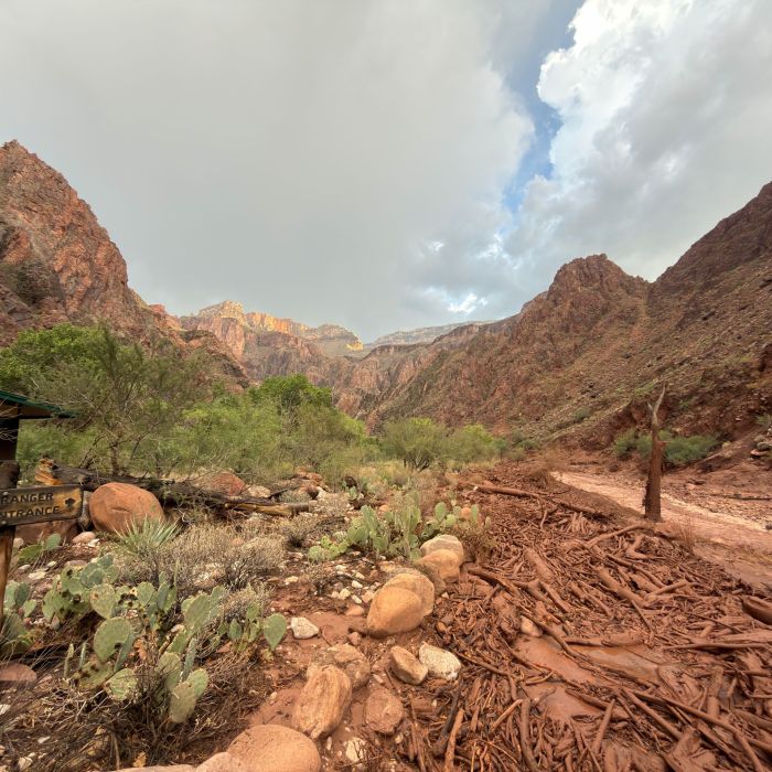 How a 2025 Wildfire Set the Stage for the Grand Canyon’s Deadly Flash Flood